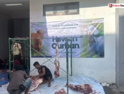 RSUD Mohammad Zyn Sampang Berkurban 5 Sapi dan 9 Kambing, Salurkan Daging ke Karyawan Non-PNS