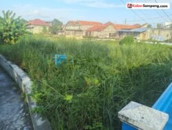 Rumput Liar di Bantaran Sungai Kamuning Mulai Mengganggu Pemandangan