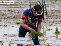 Bupati Sampang Dorong Inovasi Pertanian di Muktesareh, Fokus Ketahanan Pangan